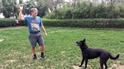 Hong Kong-20160403_110515