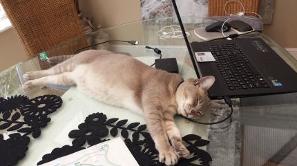 20160716_120002 reduced