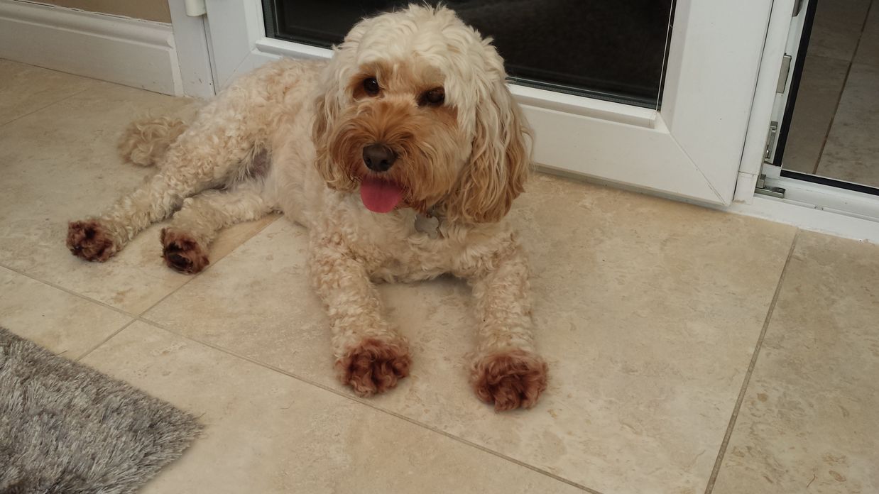 20160717_090550 reduced