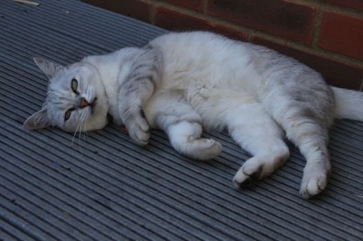 High Wycombe-2016-07-19-071 reduced