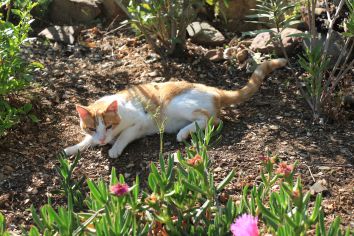 Riogordo-2016-04-26-109