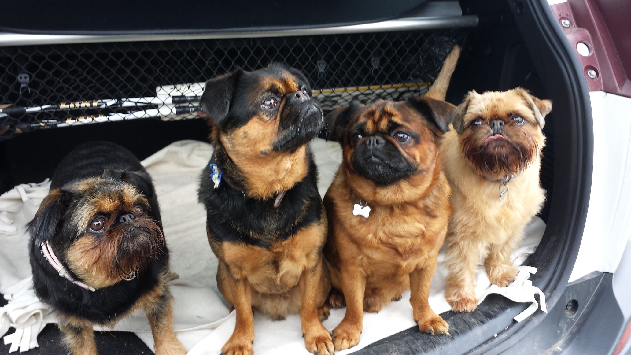 20160601_104035_2_bestshot