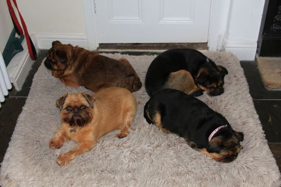 Wetherby-2016-06-04-014