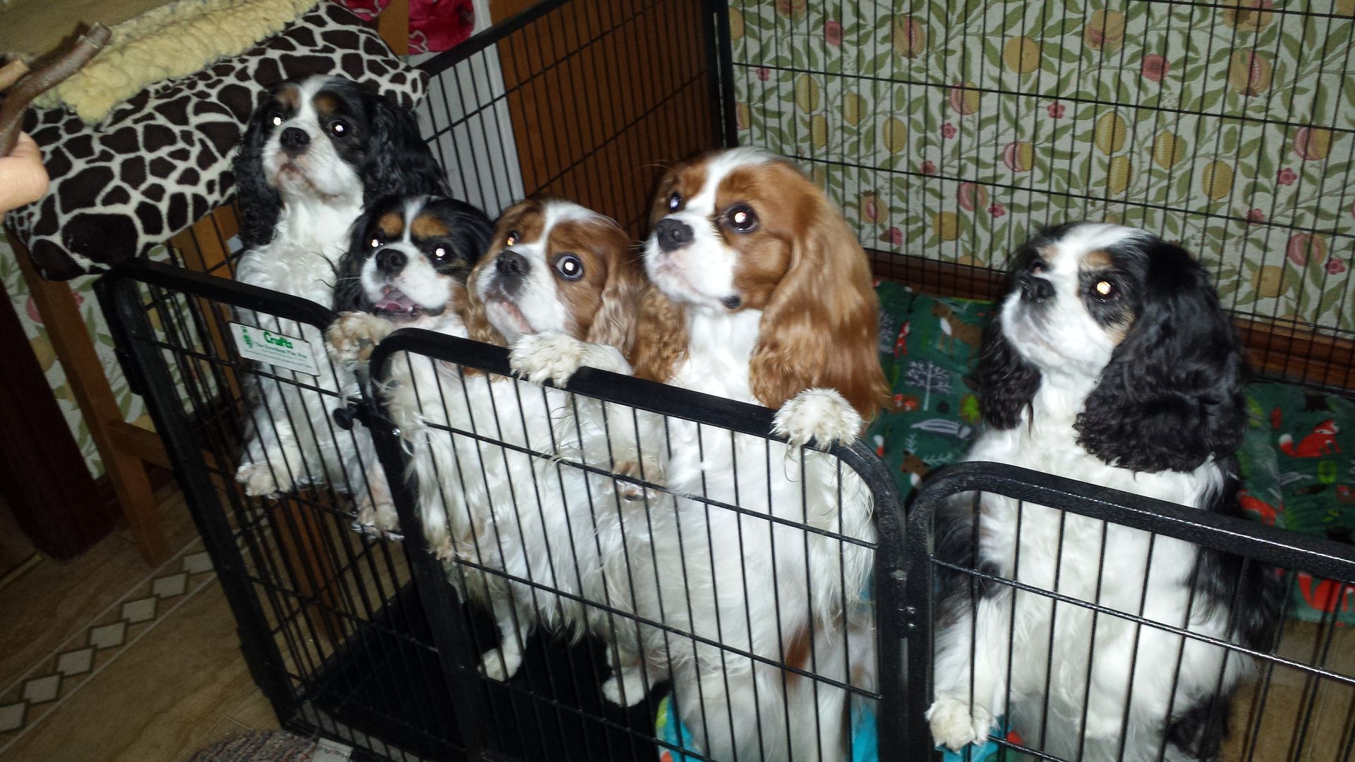 20160623_220609 reduced