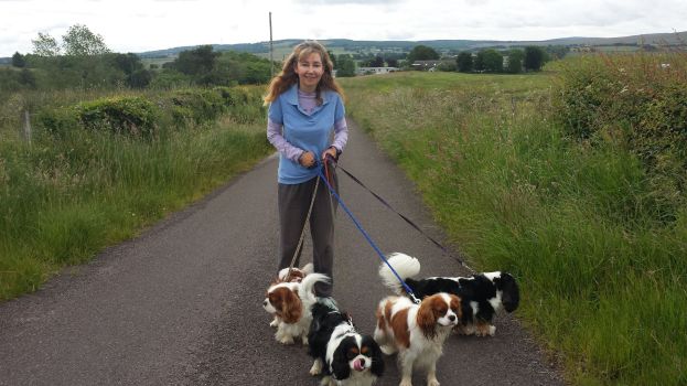 20160706_094333_1_bestshot reduced