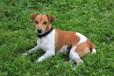 Idaux-Mendy-2016-07-27-094 reduced