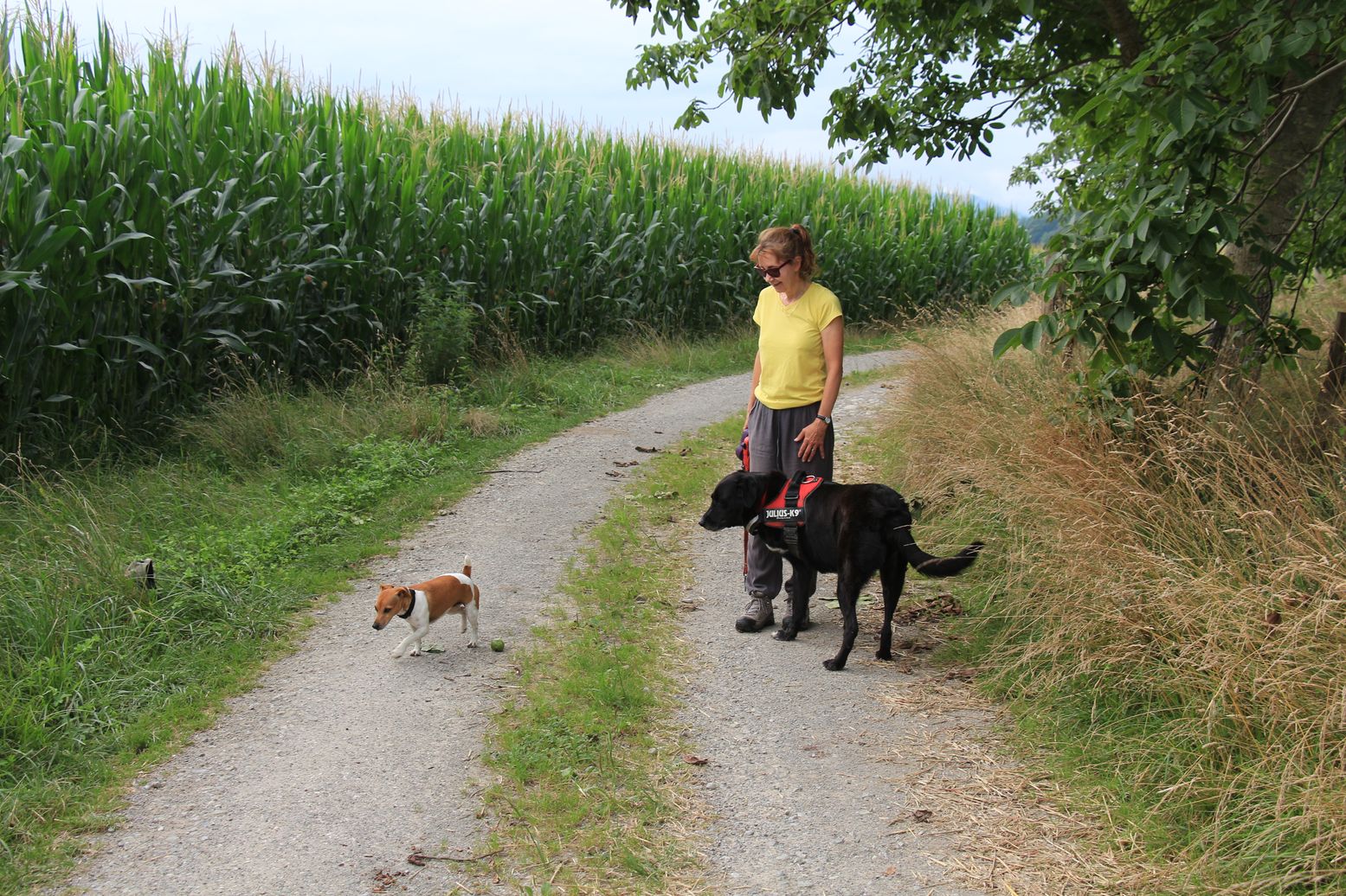 Idaux-Mendy-2016-07-28-123 reduced