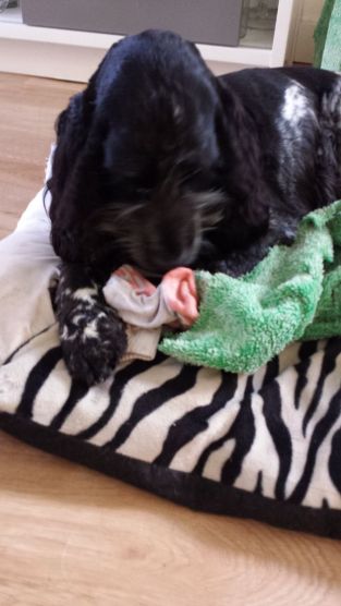 20160821_164712 reduced