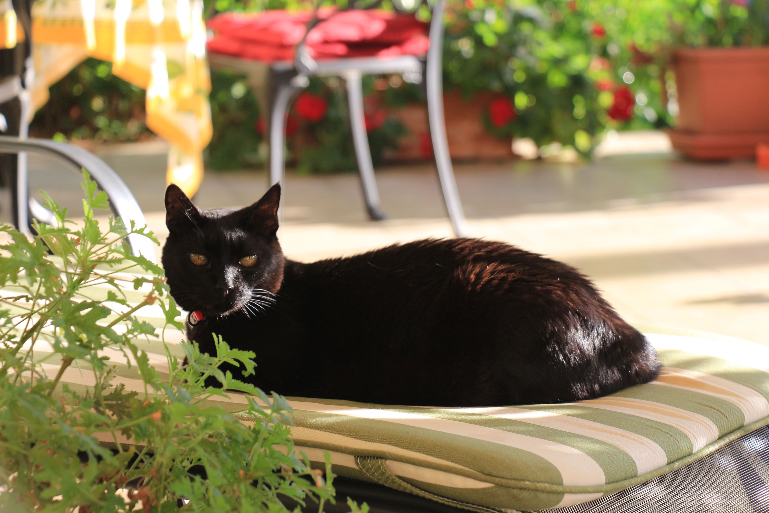 costa-brava-2016-09-03-017-reduced