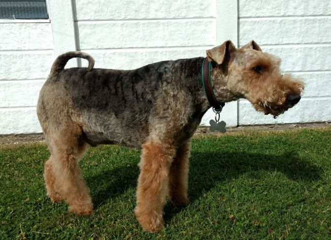 IMG_20170630_091528740