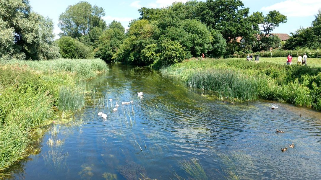 IMG_20170702_150231773_HDR