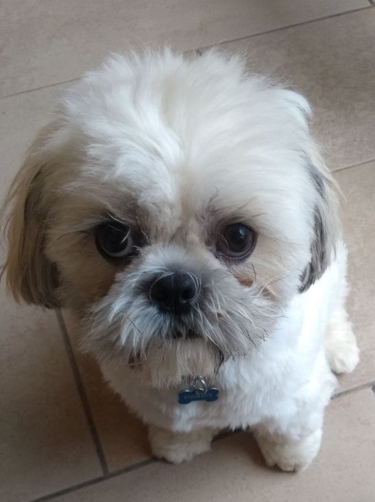 IMG_20170909_142417623